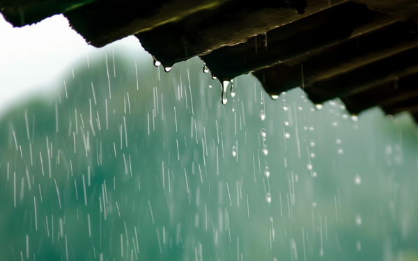 清明至，春意濃(圖17)